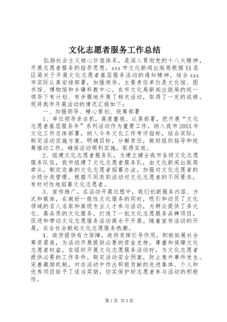 2024年文化志愿者服务工作总结