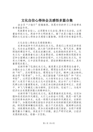 2024年文化自信心得体会及感悟多篇合集