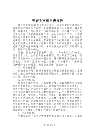 2024年五好党支部自查报告