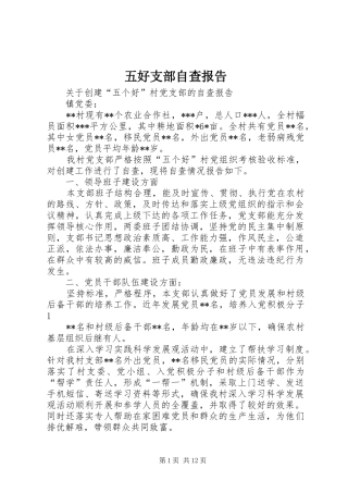 2024年五好支部自查报告