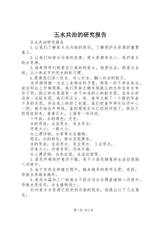 2024年五水共治的研究报告