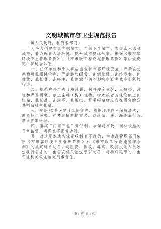 2024年文明城镇市容卫生规范报告