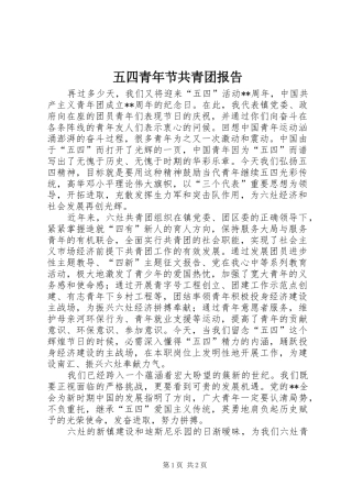 2024年五四青年节共青团报告