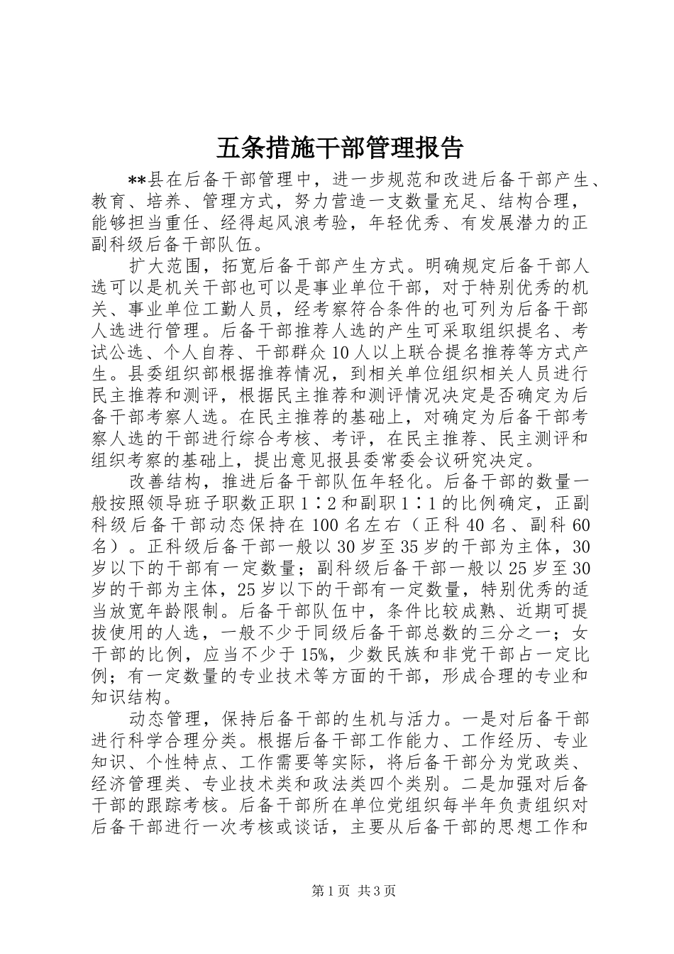 2024年五条措施干部管理报告_第1页