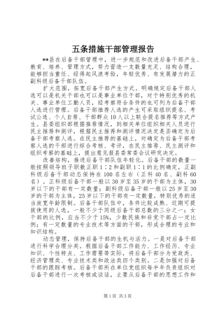 2024年五条措施干部管理报告