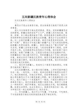 2024年五问新疆汉族青年心得体会