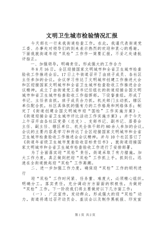 2024年文明卫生城市检验情况汇报