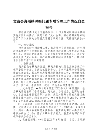 2024年文山会海照抄照搬问题专项治理工作情况自查报告