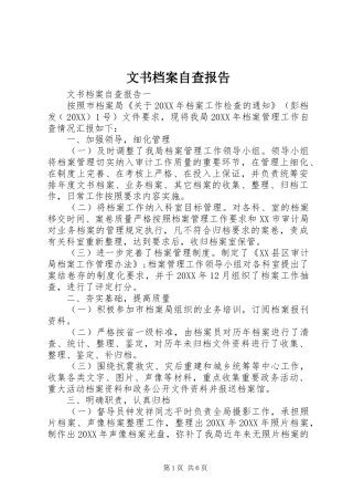 2024年文书档案自查报告