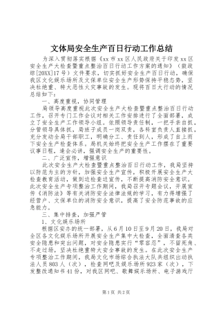 2024年文体局安全生产百日行动工作总结