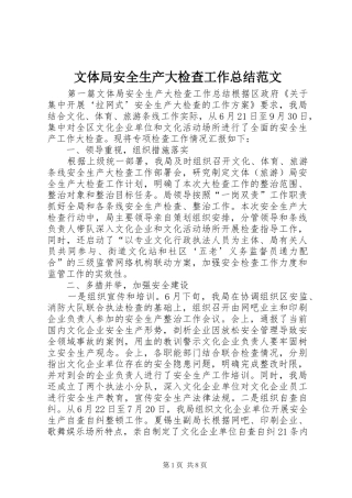 2024年文体局安全生产大检查工作总结范文