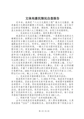 2024年文体局惠民情况自查报告