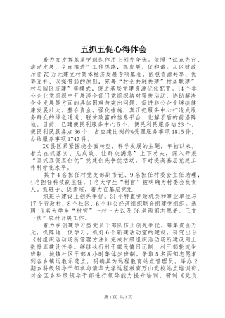 2024年五抓五促心得体会