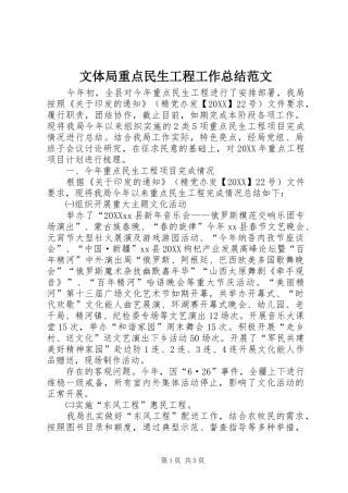 2024年文体局重点民生工程工作总结范文