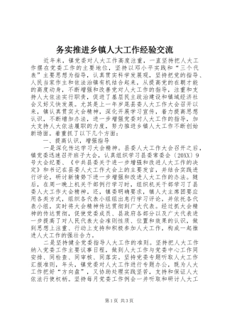 2024年务实推进乡镇人大工作经验交流