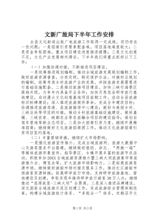 2024年文新广旅局下半年工作安排