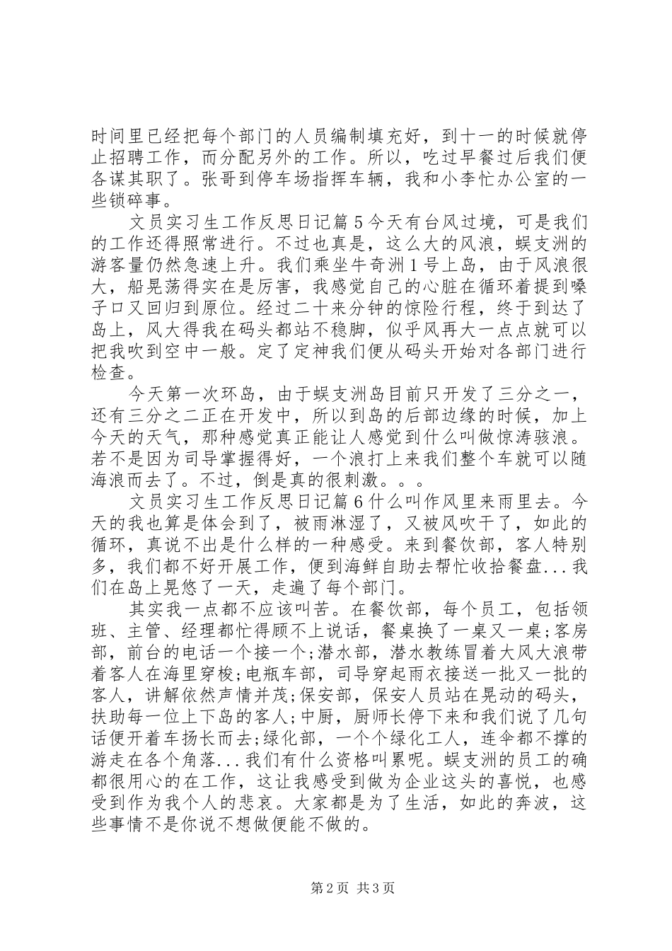 2024年文员实习生工作反思日记_第2页