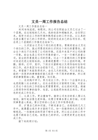 2024年文员一周工作报告总结