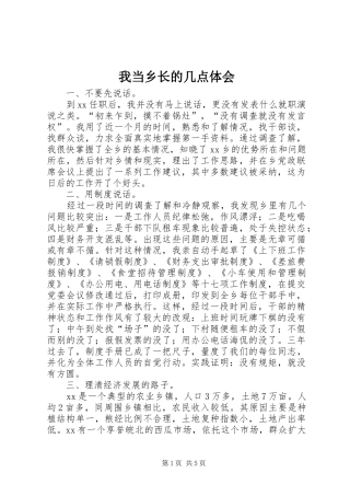2024年我当乡长的几点体会