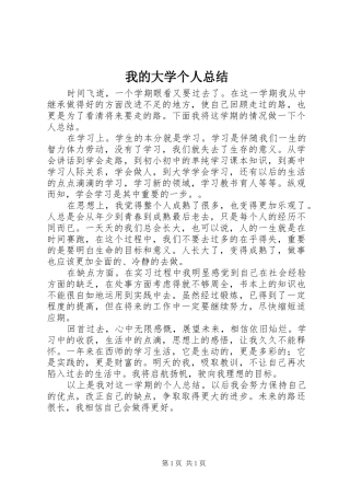 2024年我的大学个人总结