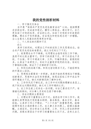2024年我的党性剖析材料
