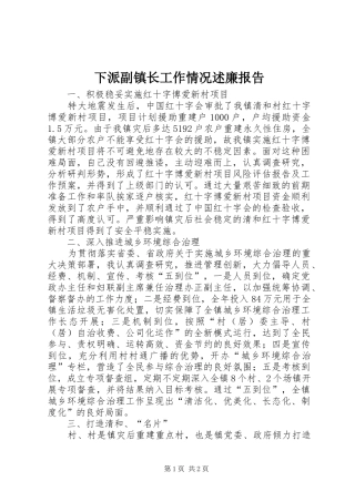 2024年下派副镇长工作情况述廉报告