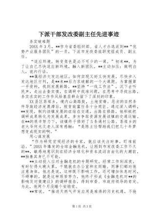 2024年下派干部发改委副主任先进事迹