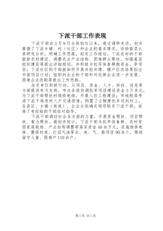 2024年下派干部工作表现