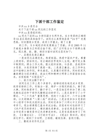 2024年下派干部工作鉴定