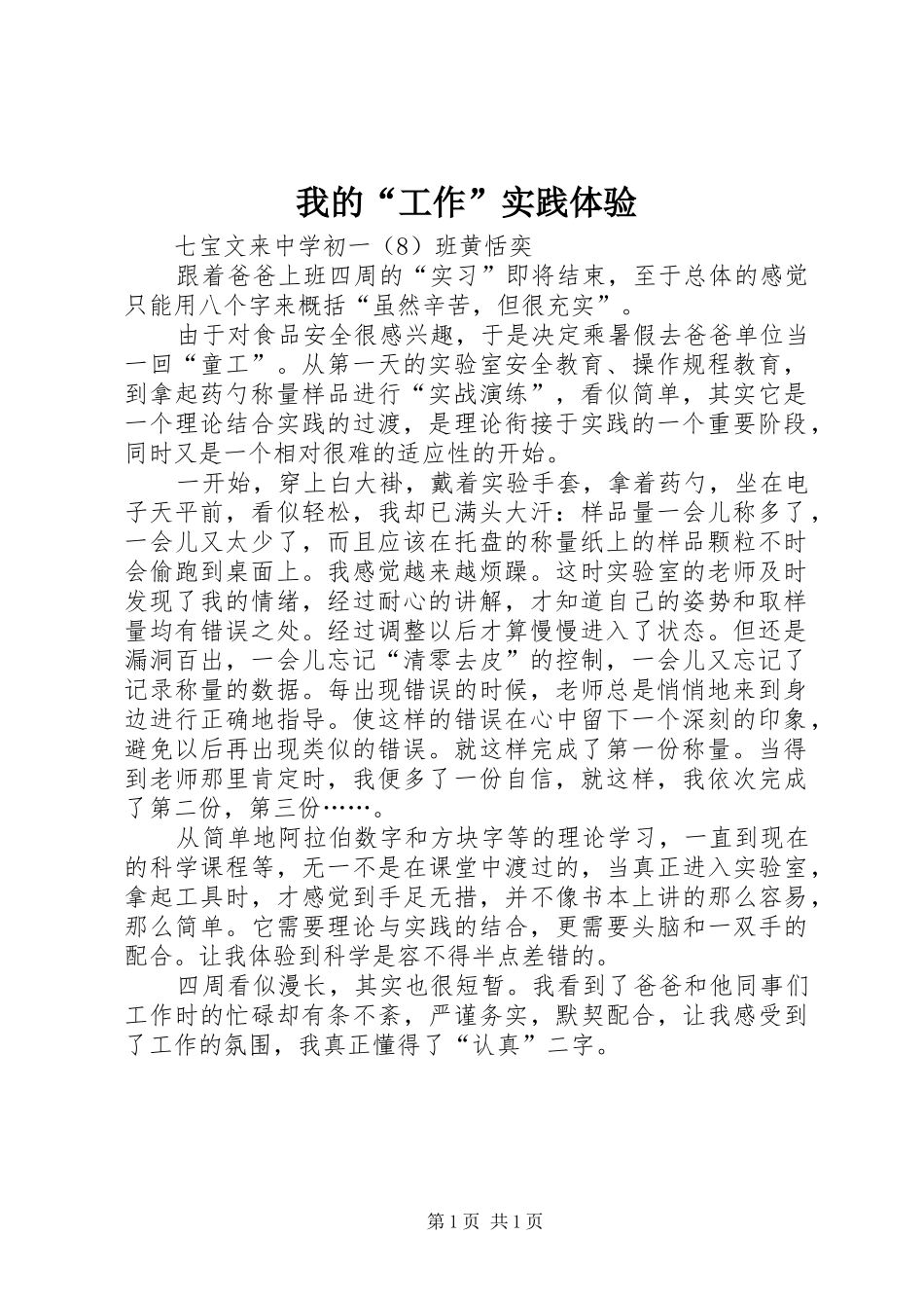 2024年我的工作实践体验_第1页