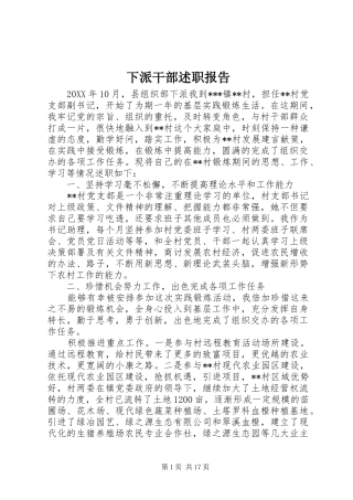 2024年下派干部述职报告