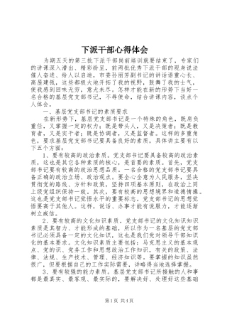 2024年下派干部心得体会