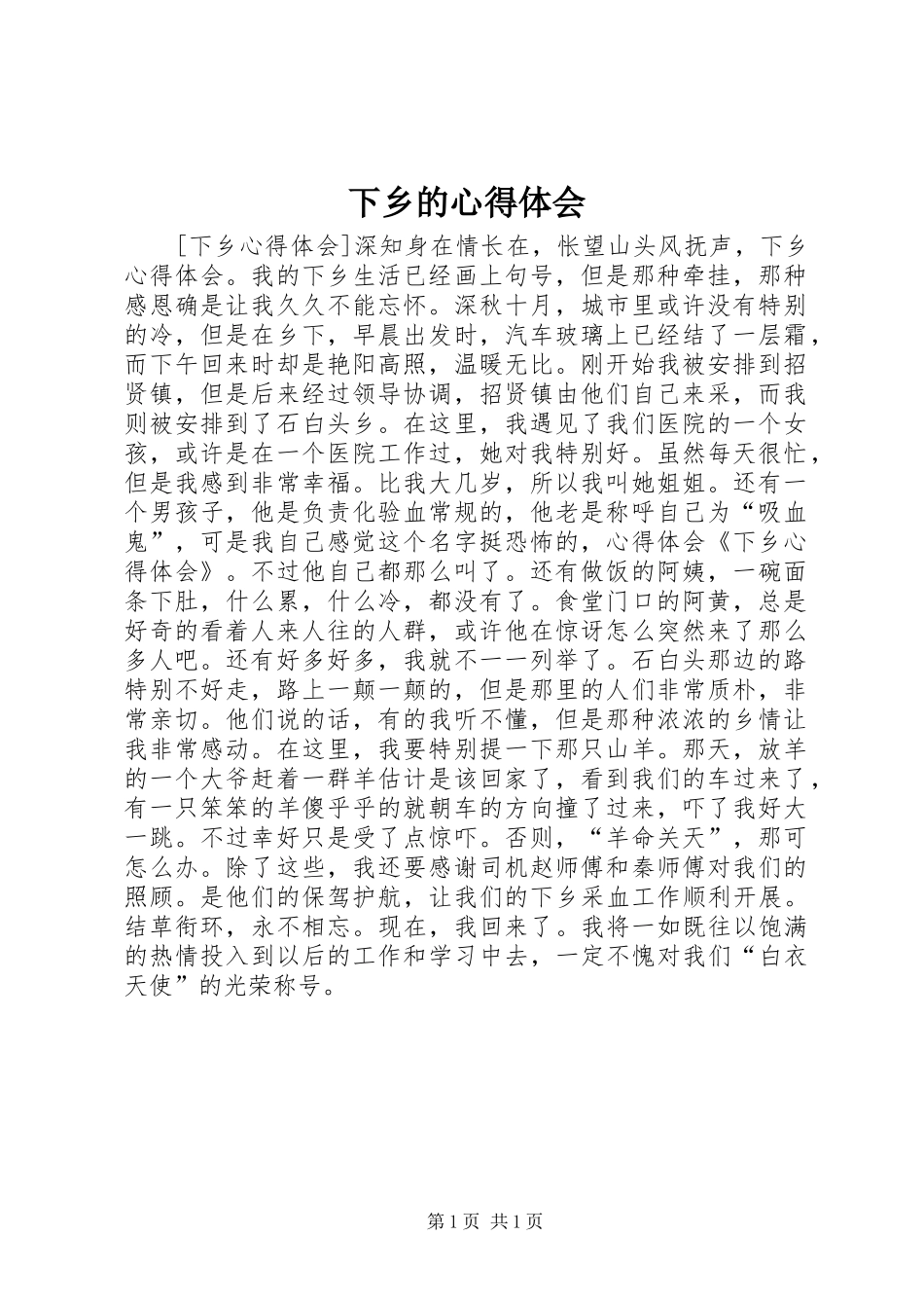 2024年下乡的心得体会_第1页