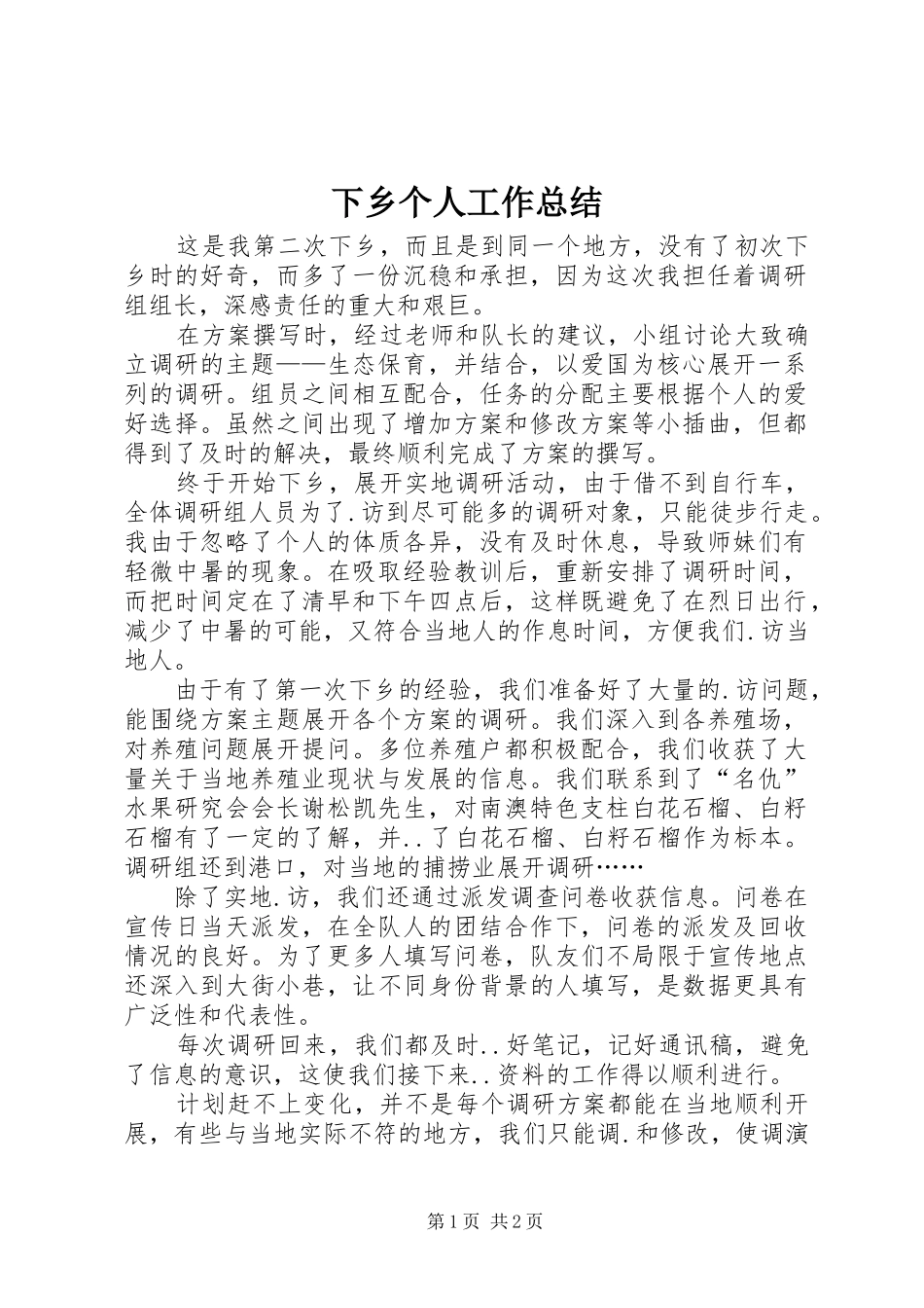 2024年下乡个人工作总结_第1页