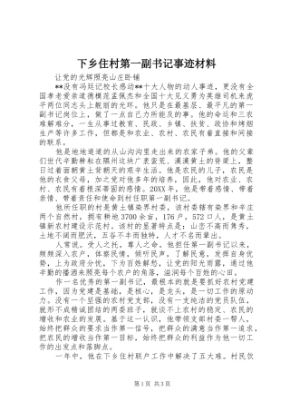 2024年下乡住村第一副书记事迹材料