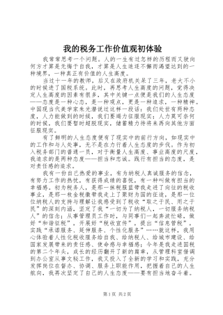 2024年我的税务工作价值观初体验