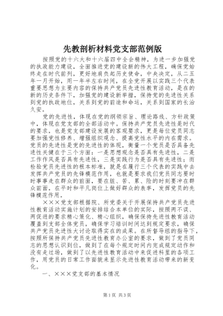 2024年先教剖析材料党支部范例版