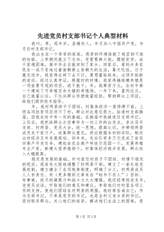 2024年先进党员村支部书记个人典型材料