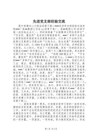 2024年先进党支部经验交流