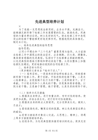 2024年先进典型培养计划