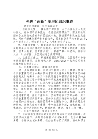 2024年先进两新基层团组织事迹