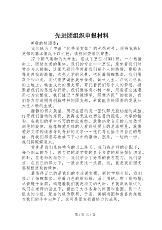 2024年先进团组织申报材料