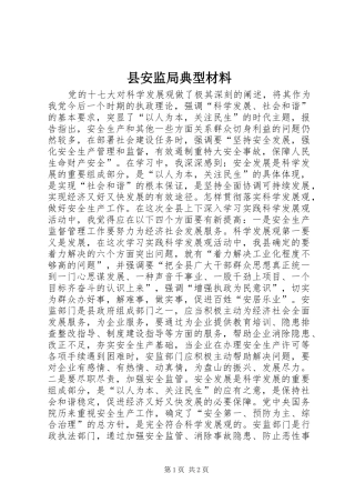 2024年县安监局典型材料