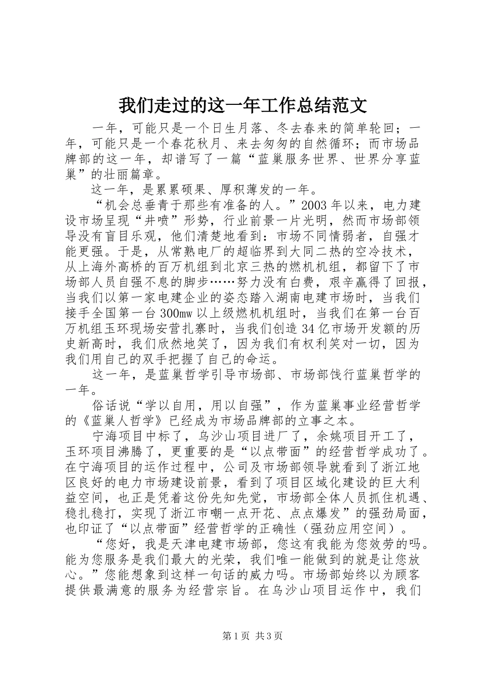 2024年我们走过的这一年工作总结范文_第1页