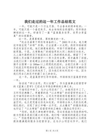 2024年我们走过的这一年工作总结范文