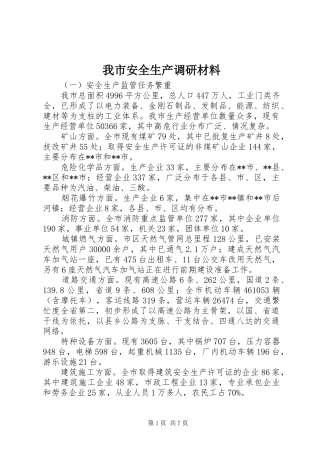 2024年我市安全生产调研材料