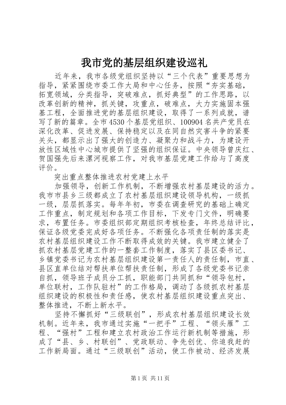 2024年我市党的基层组织建设巡礼_第1页