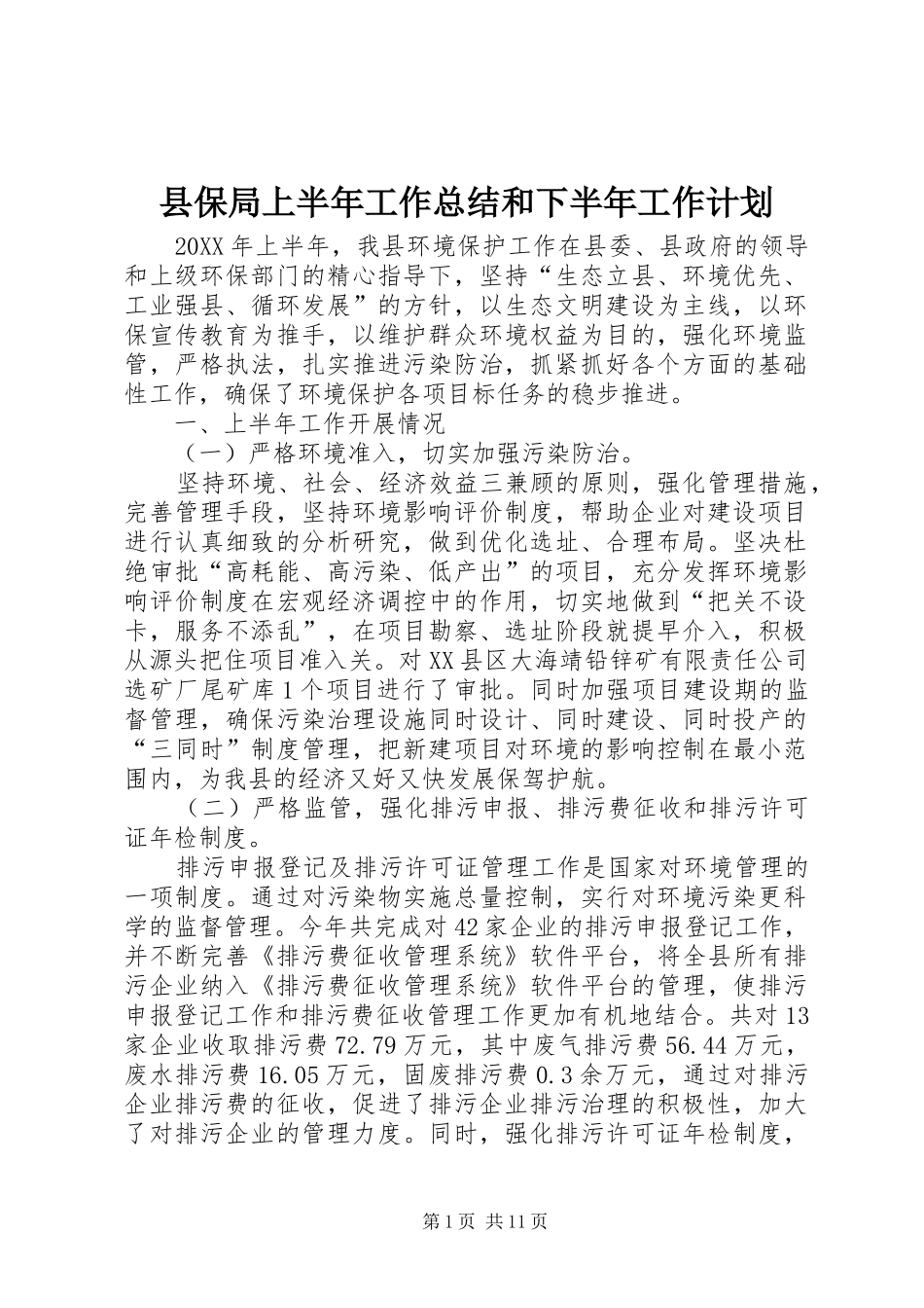 2024年县保局上半年工作总结和下半年工作计划_第1页