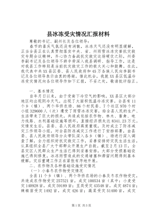 2024年县冰冻受灾情况汇报材料