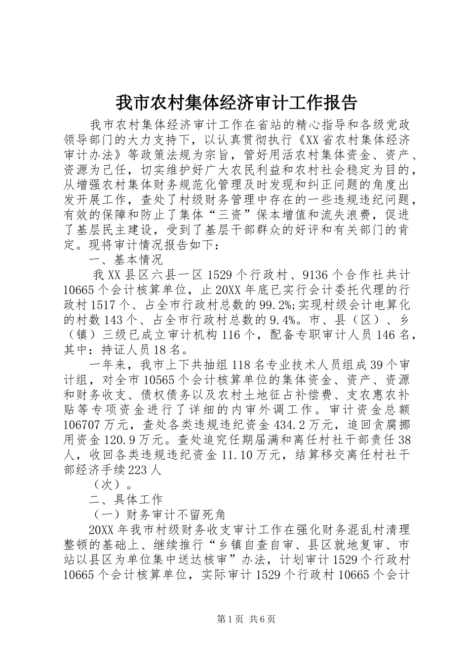 2024年我市农村集体经济审计工作报告_第1页